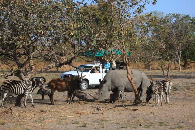 Fathala Wildlife Reserve Toubakouta Bagian luar foto