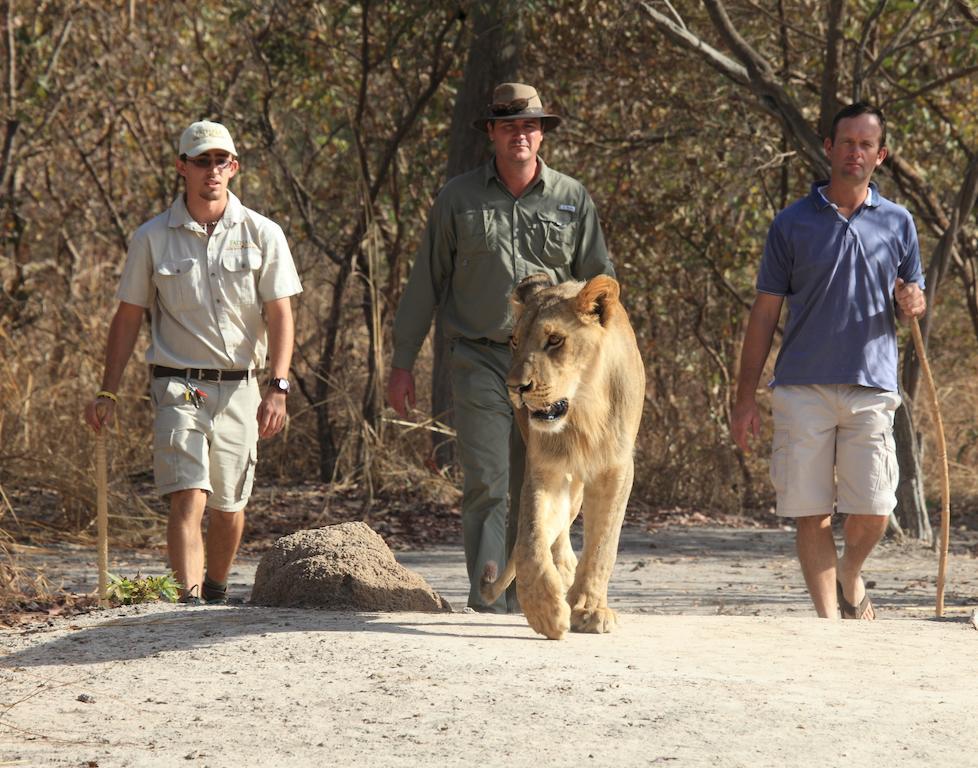 Fathala Wildlife Reserve Toubakouta Bagian luar foto