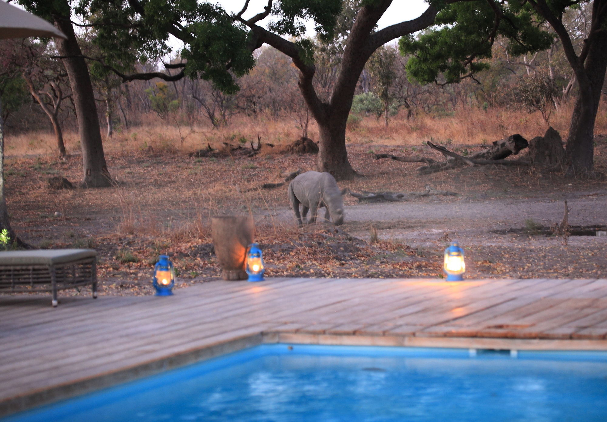 Fathala Wildlife Reserve Toubakouta Bagian luar foto
