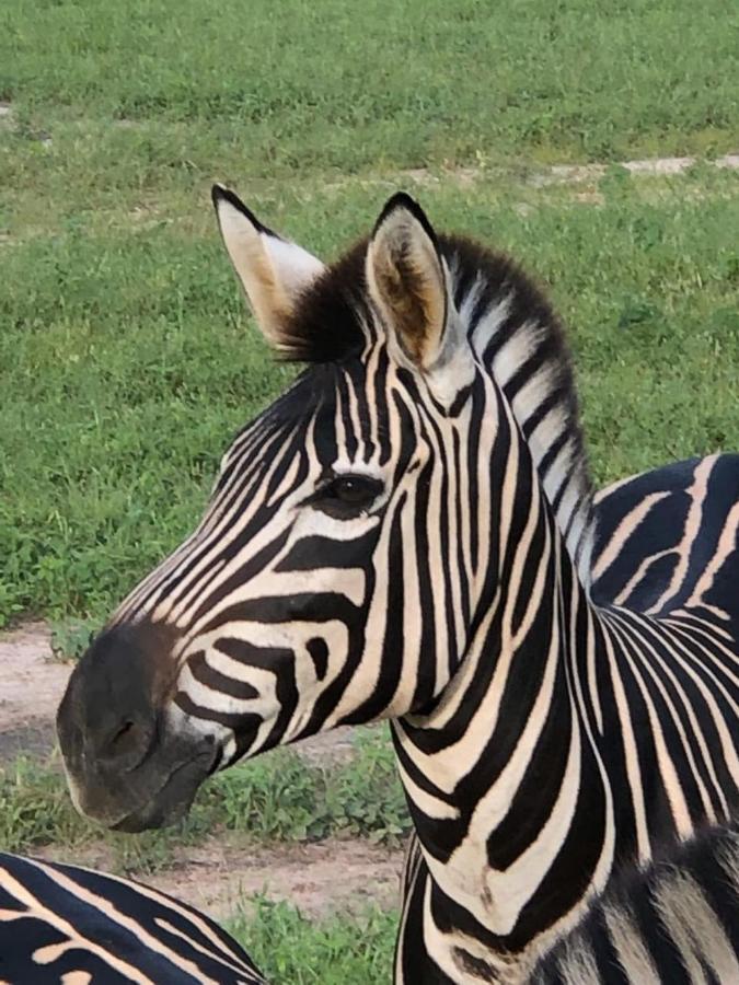 Fathala Wildlife Reserve Toubakouta Bagian luar foto