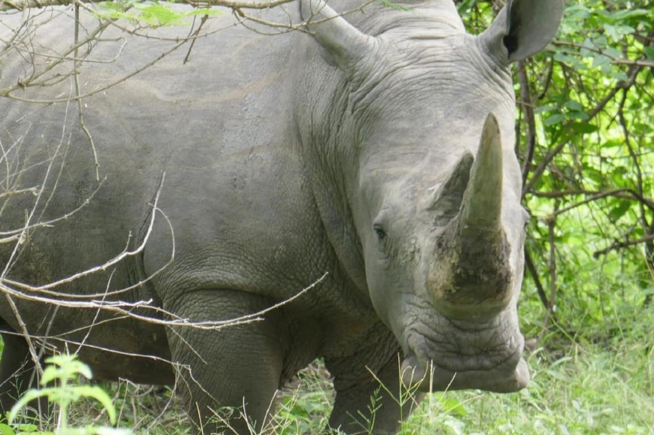 Fathala Wildlife Reserve Toubakouta Bagian luar foto